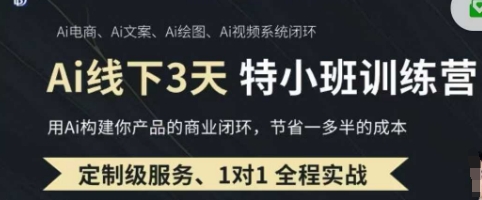 AI实操培训第20-21期线下，0基础保姆级教程，3月最新整理，企业获客、降本增效、打造超级个体-数码之翼