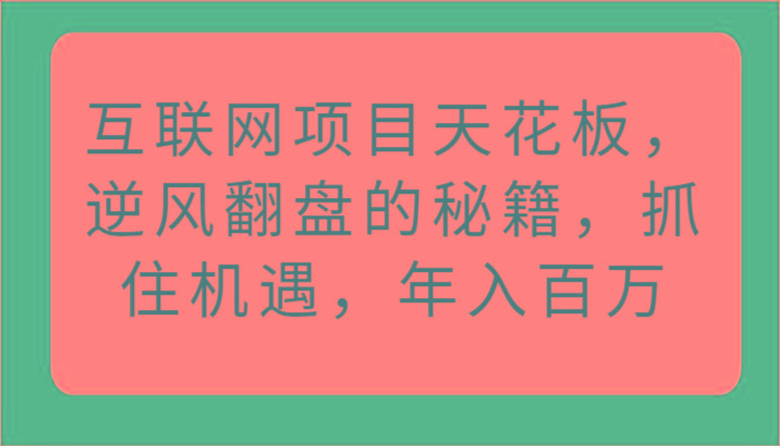 互联网项目天花板，逆风翻盘的秘籍，抓住机遇，年入百万-数码之翼