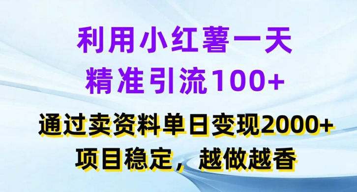 利用小红书一天精准引流100+，通过卖项目单日变现2k+，项目稳定，越做越香【揭秘】-数码之翼