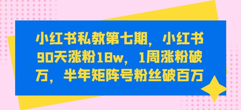小红书私教第七期，小红书90天涨粉18w，1周涨粉破万，半年矩阵号粉丝破百万-数码之翼