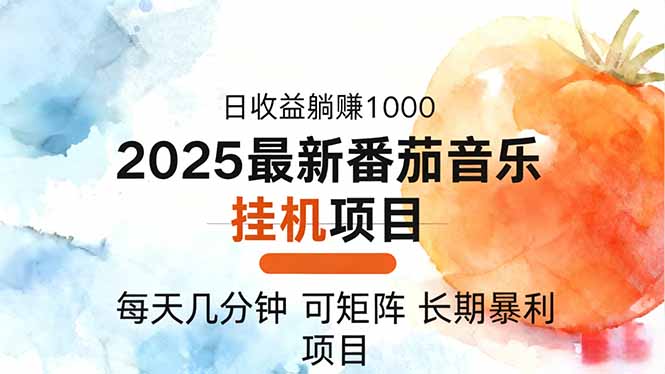 2025年最新番茄音乐人挂机项目，每天几分钟，月入1000＋，可矩阵，一台...-数码之翼