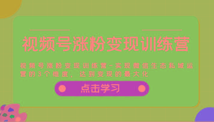 视频号涨粉变现训练营-实现微信生态私域运营的3个维度，达到变现的最大化-数码之翼
