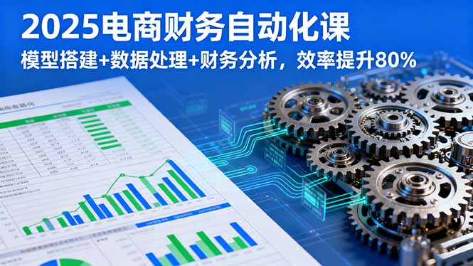 2025电商财务自动化课，模型搭建+数据处理+财务分析，效率提升80%-数码之翼