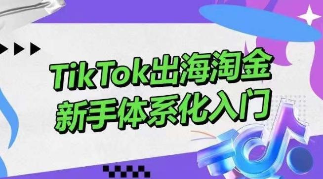 TikTok出海淘金，新手体系化入门，零基础快速入门，掌握短视频、直播带货等引流到变现的知识-数码之翼
