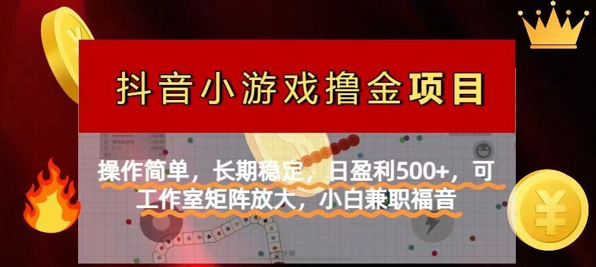【抖音小游戏发行人计划项目】操作简单，长期稳定，日盈利500+，可工作…-数码之翼