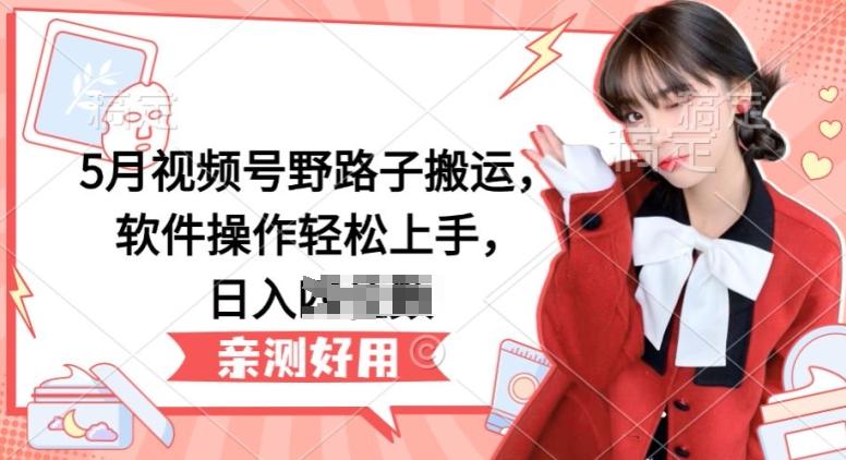 5月视频号野路子搬运，软件操作轻松上手，日入三位数【揭秘】-数码之翼