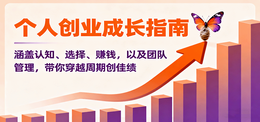 个人创业成长指南:涵盖认知、选择、赚钱,以及团队管理,带你穿越周期创佳绩-数码之翼