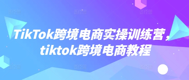 TikTok跨境电商实操训练营，tiktok跨境电商教程-数码之翼
