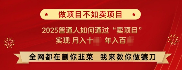 必看，做项目不如卖项目，2025普通人如何通过“卖项目”实现月入十个，年入百个-数码之翼
