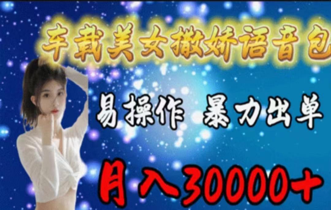 车载美女撒娇语音包，执行就出单，月入3000＋，小白看完课程就能马上实操-数码之翼