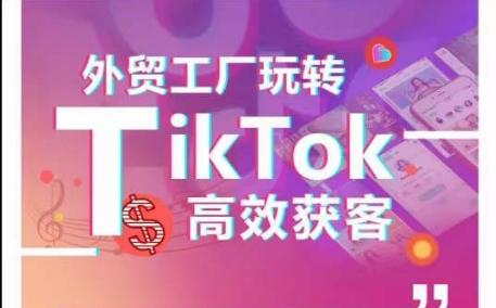 外贸工厂玩转TikTok高效获客，多种引流方式与账号定位技巧，拆解爆款短视频打造成功案例-数码之翼