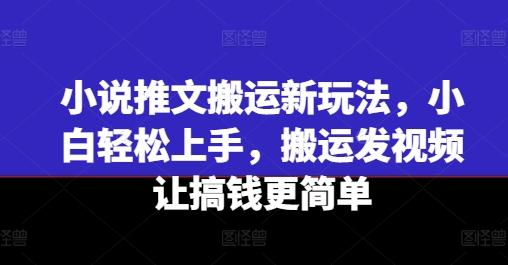 小说推文搬运新玩法，小白轻松上手，搬运发视频让搞钱更简单-数码之翼