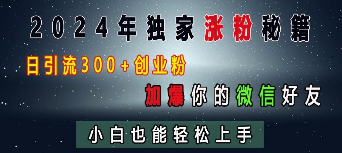 2024年独家涨粉秘籍，日引流300+创业粉，加爆你的微信好友，小白也能轻松上手-数码之翼