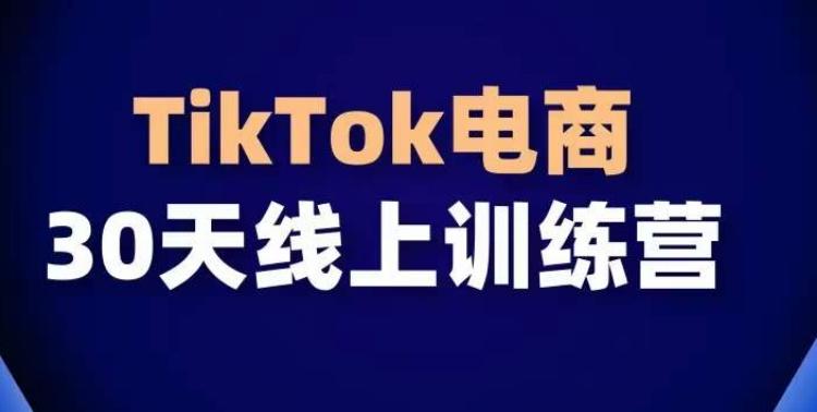 TikTok电商带货30天线上课，不可错过的全球流量洼地！-数码之翼