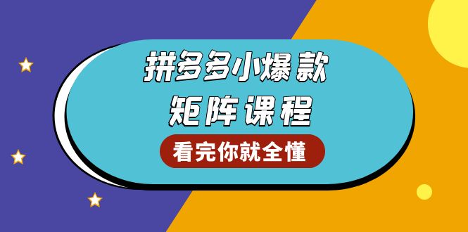 拼多多爆款矩阵课程：教你测出店铺爆款，优化销量，提升GMV，打造爆款群-数码之翼