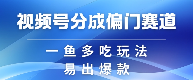 视频号创作者分成计划偏门类目，容易爆流，实拍内容简单易做【揭秘】-数码之翼