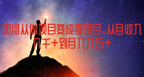 如何从做项目变成卖项目，从月收入几千到月入几万【揭秘】-数码之翼