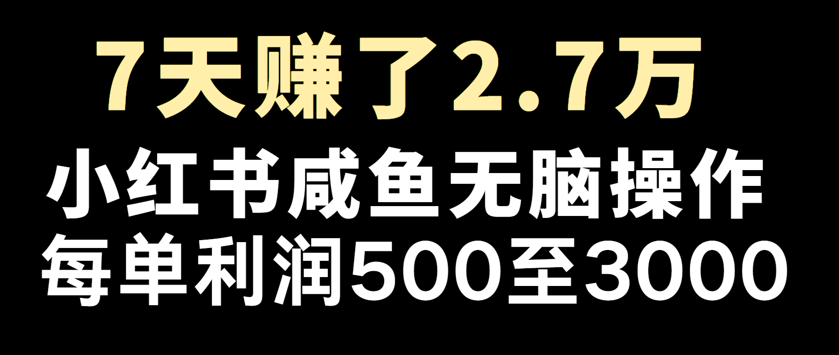 全网首发，7天赚了2.6万，2025利润超级高！-数码之翼