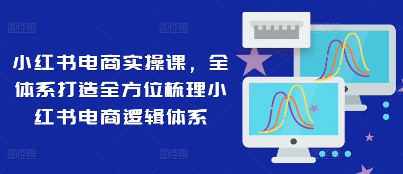 小红书电商实操课，全体系打造全方位梳理小红书电商逻辑体系-数码之翼