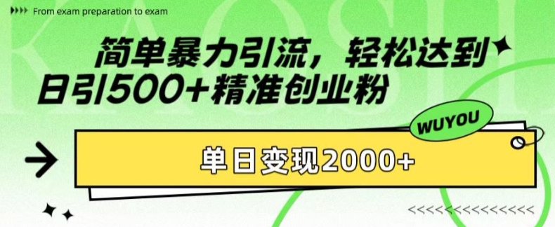 简单暴力引流，轻松达到日引500+精准创业粉，单日变现2k【揭秘】-数码之翼