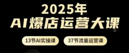 2025年AI爆店运营大课，13节AI实操课+37节流量运营课-数码之翼