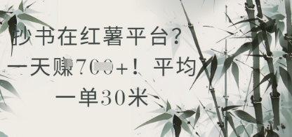 抄书在小红薯平台？平均一单30米，一天收益几张！-数码之翼