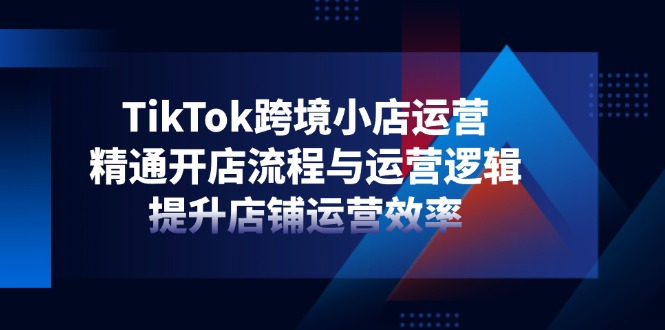 TikTok跨境小店运营，精通开店流程与运营逻辑，提升店铺运营效率-数码之翼
