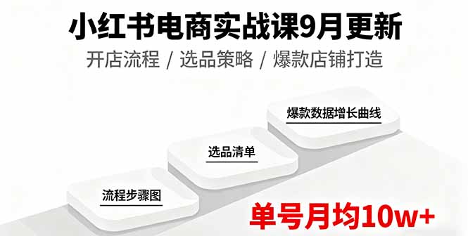 小红书电商实战课9月更新，开店流程/选品策略/爆款店铺打造，单号月均10w+-数码之翼