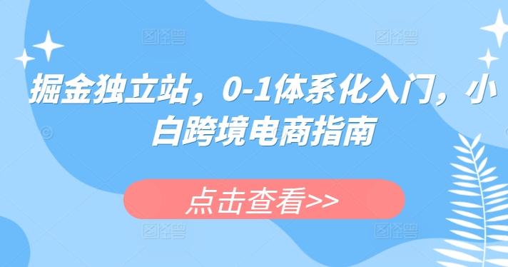 掘金独立站，0-1体系化入门，小白跨境电商指南-数码之翼