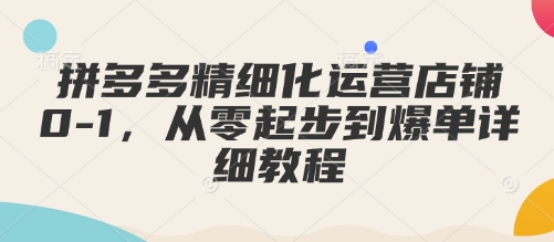 拼多多精细化运营店铺0-1，从零起步到爆单详细教程-数码之翼