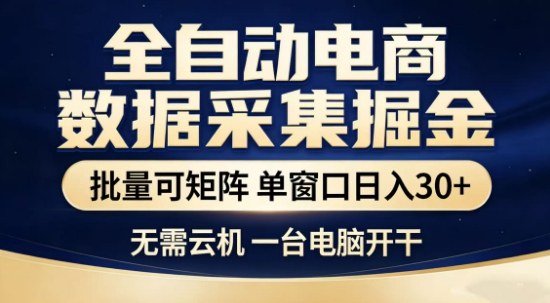 独家电商数据全自动采集项目,批量可矩阵,单窗口轻松日入3张+【揭秘】-数码之翼