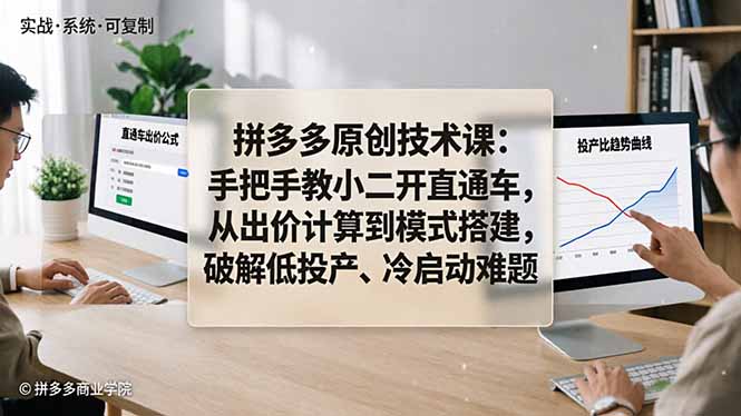 拼多多原创技术课：手把手教小二开直通车，从出价计算到模式搭建，破解低投产、冷启动难题-数码之翼
