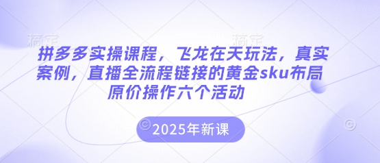 拼多多实操课程，飞龙在天玩法，真实案例，直播全流程链接的黄金sku布局原价操作六个活动-数码之翼