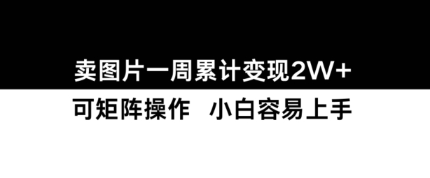 小红书【卖图片】一周累计变现2W+小白易上手-数码之翼