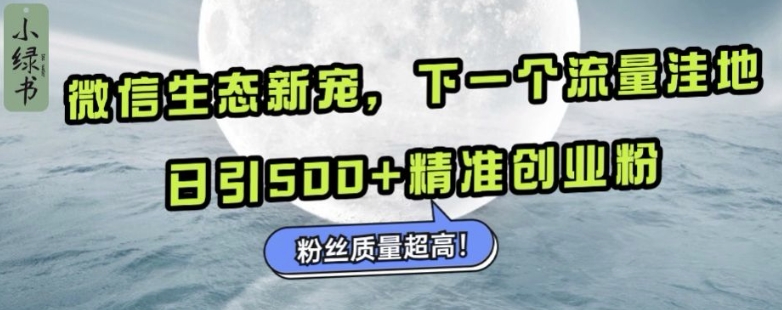 微信生态新宠小绿书：下一个流量洼地，日引500+精准创业粉，粉丝质量超高-数码之翼