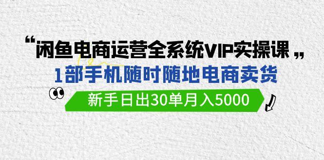 (9547期)闲鱼电商运营全系统VIP实战课,1部手机随时随地卖货,新手日出30单月入5000-数码之翼