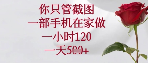 你只管截图，一部手机在家操作，一小时120.一天5张【揭秘】-数码之翼