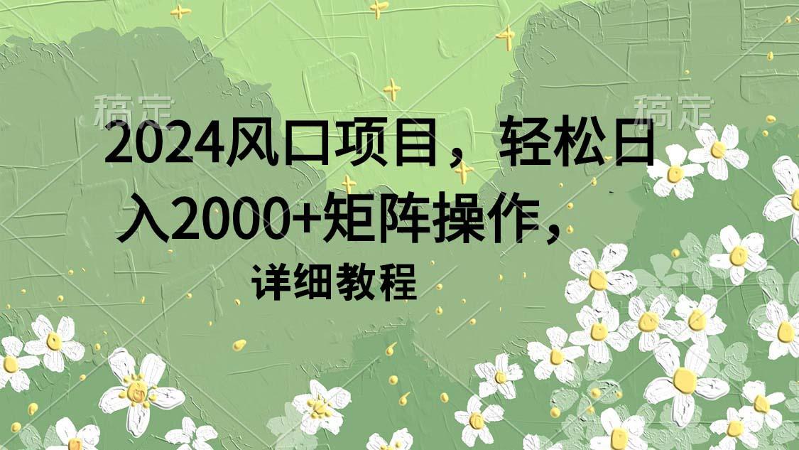 (9652期)2024风口项目,轻松日入2000+矩阵操作,详细教程-数码之翼