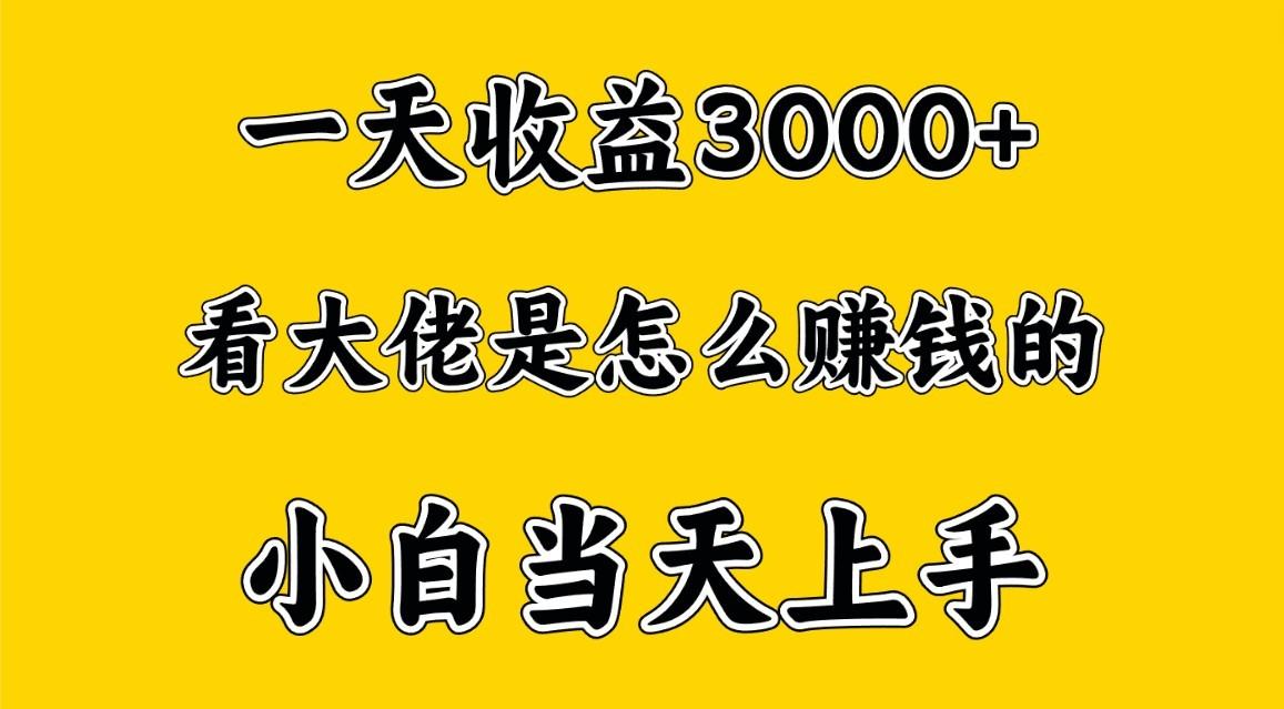 一天赚3000多，大佬是这样赚到钱的，小白当天上手，穷人翻身项目-数码之翼