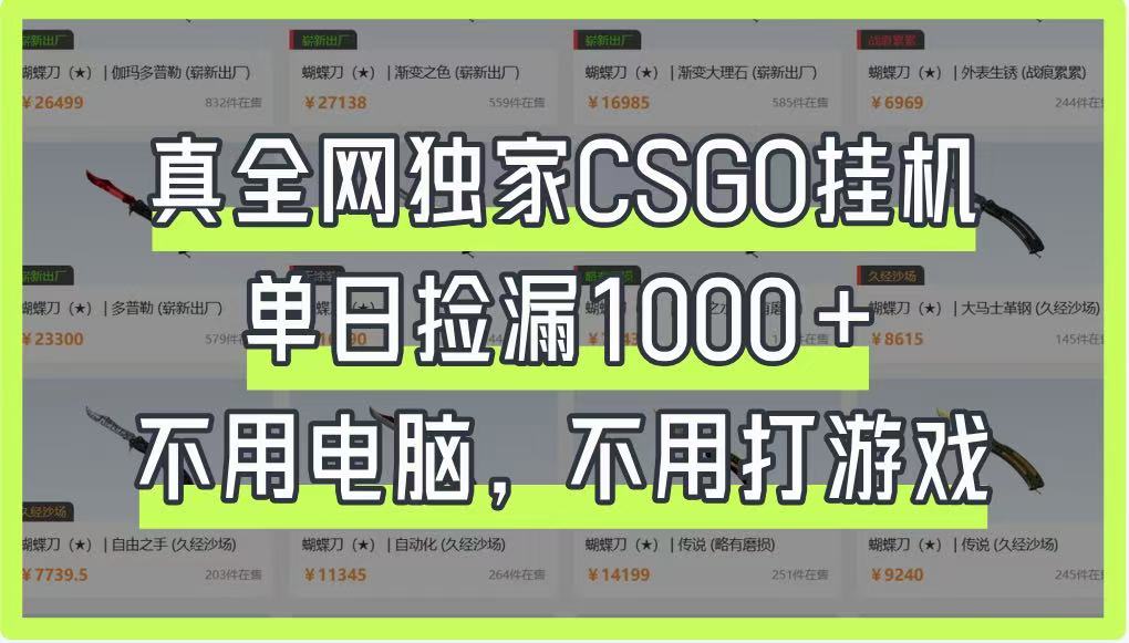 真全网独家CSGO挂机,单日捡漏1000+,不用电脑,不用养号-数码之翼
