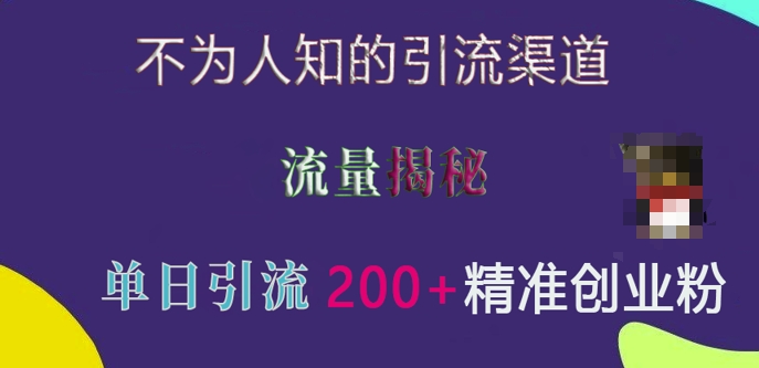 不为人知的引流渠道，流量揭秘，实测单日引流200+精准创业粉【揭秘】-数码之翼