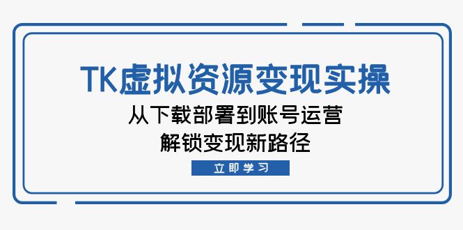 TK虚拟资料变现实操：从下载部署到账号运营，解锁变现新路径-数码之翼