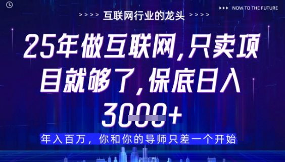 什么！25年你还在找项目做？风口早就变了，卖项目才是稳挣不赔【揭秘】-数码之翼