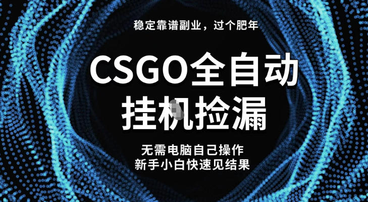 【稳定副业】全球最热门游戏CSGO全自动捡漏，最新玩法，新手小白日入5张+【揭秘】-数码之翼