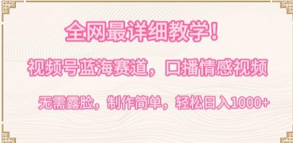 全网最详细教学，视频号蓝海赛道，口播情感视频，无需露脸，制作简单，轻松实现日入1000+【揭秘】-数码之翼