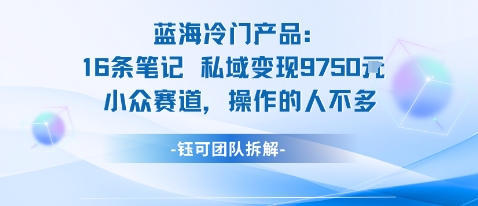 蓝海项目：16条笔记私域变现9750米小众赛道操作的人不多-数码之翼