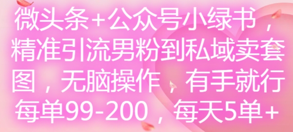 微头条+公众号小绿书，精准引流男粉到私域卖套图，无脑操作，有手就行，每单99-200，每天5单-数码之翼