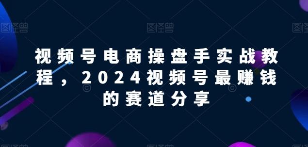 视频号电商实战教程,2024视频号最赚钱的赛道分享-数码之翼