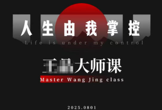 流量破局-人生由我掌控,从素人快速进阶,实现流量与商业价值双丰收-数码之翼