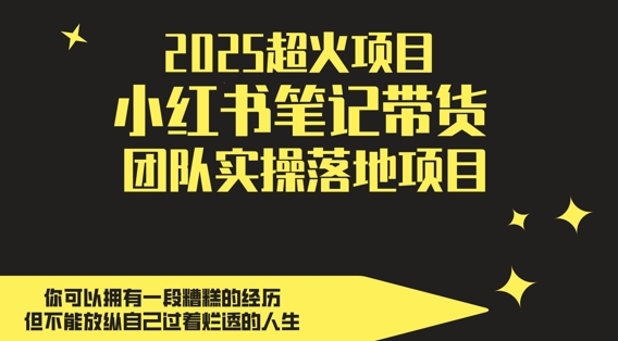 2025超火项目，副业最佳选择，小红书笔记带货团队实操落地项目，，轻松日入5张-数码之翼